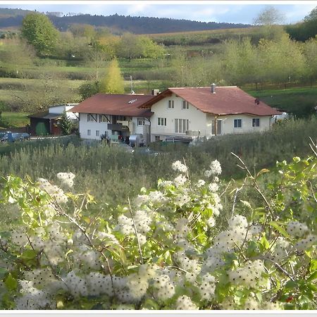 Apartamento Weingut Ringwald Herbolzheim Exterior foto